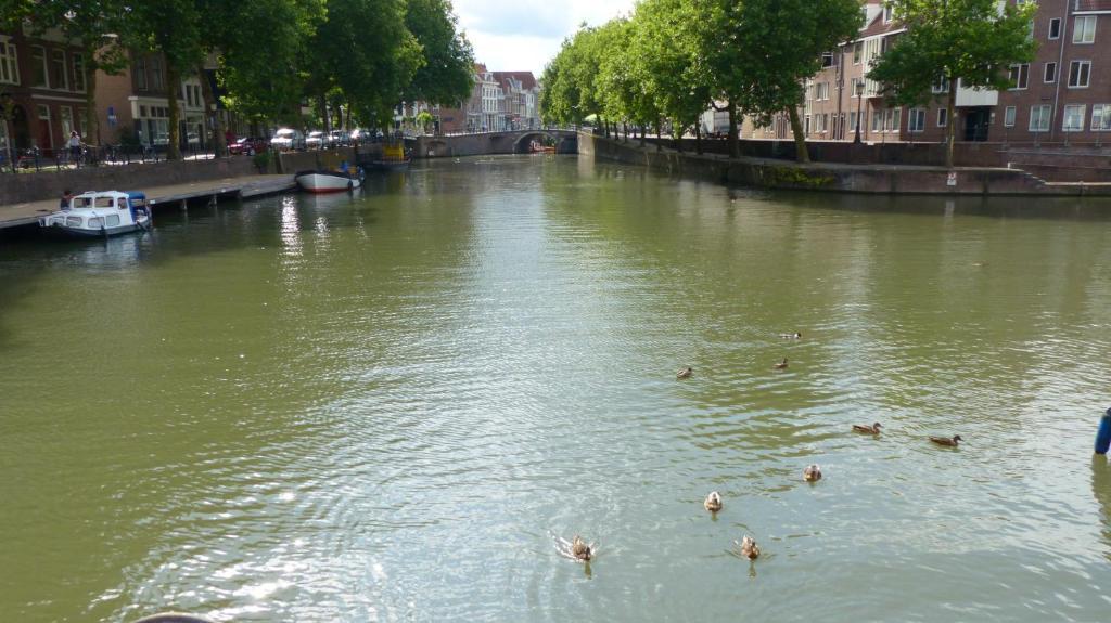 Bed&Breakfast aan de Singel van Utrecht Buitenkant foto